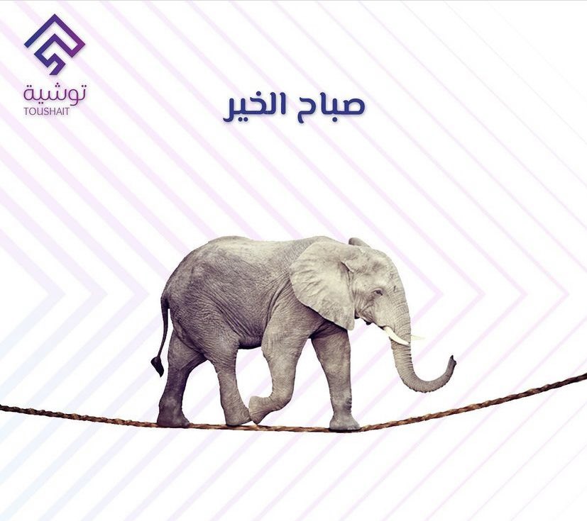 ليس هناك مستحيل..مادمت تستطيع تخيله👌🏻

#صباح_الخير 🌞
#تصميم
#تجاره_الكترونيه