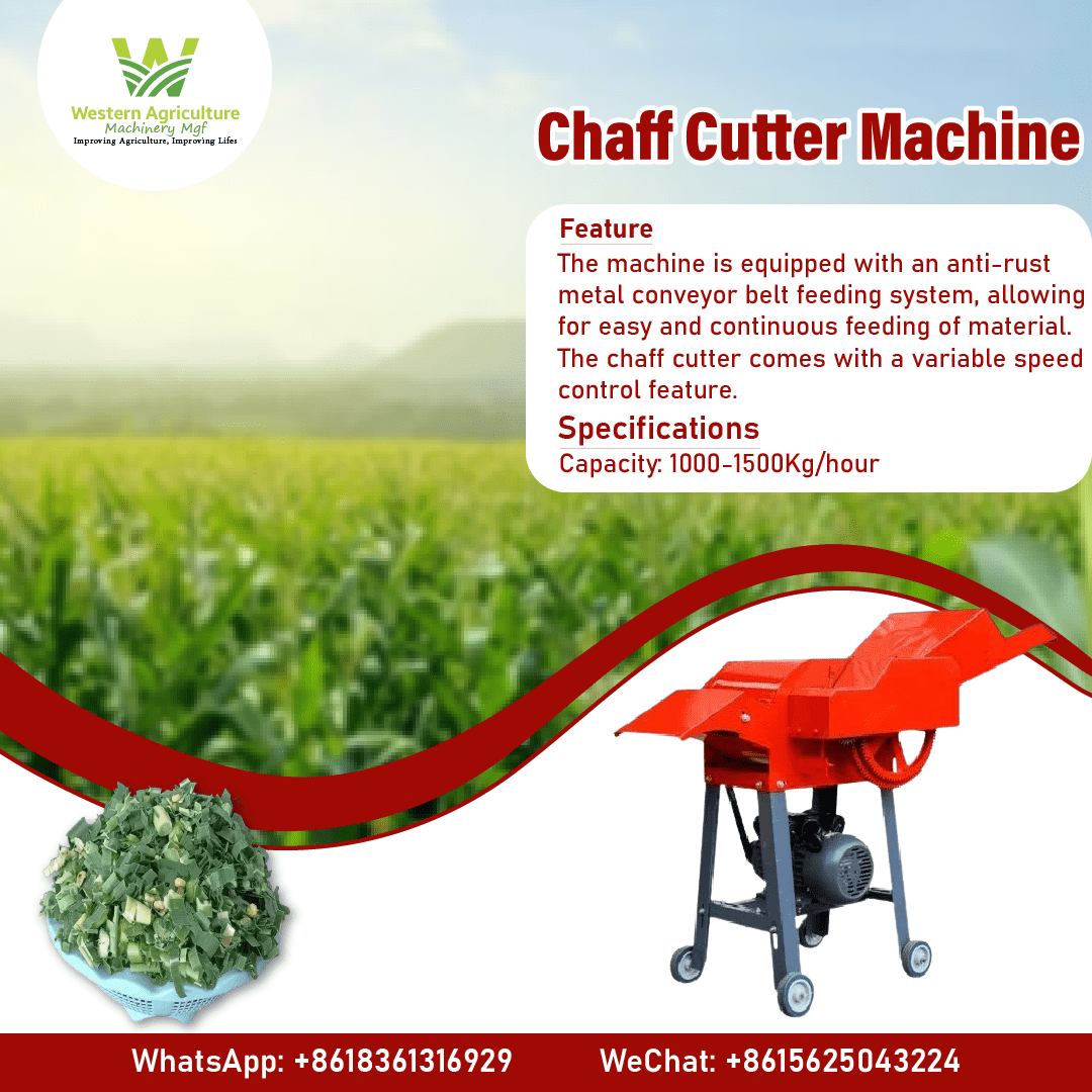 WesternAgri's tweet photo. Chaff Cutter Machine

Capacity: 1000-1500Kg/hour
Power: 2.2KW
Voltage: 220V

Contact Us
Western Agriculture Machinery
Shunde Guangwu, Xinyang Town, Zhengzhou, Henan Province, China.
WhatsApp: +8618361316929
WeChat: +8615625043224

#FodderCutter #ChaffCutting #RuralDevelopment https://t.co/crgXn1MPAg