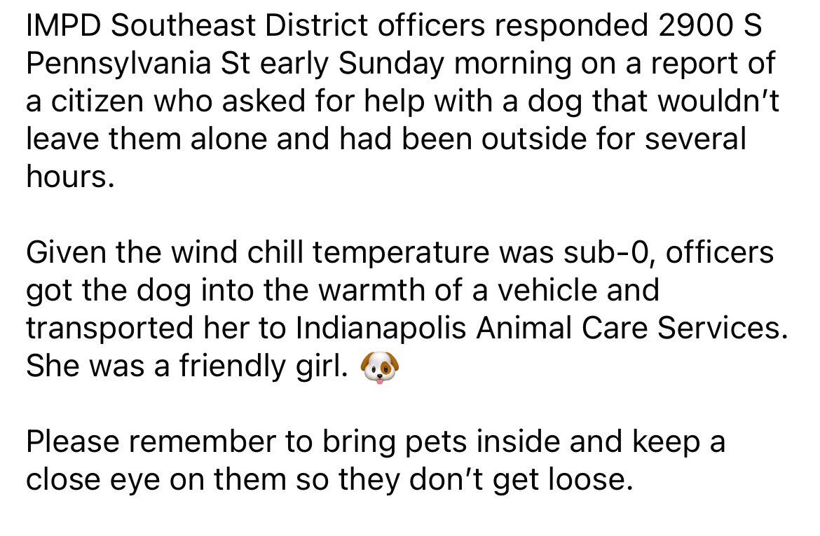IMPDnews's tweet photo. IMPD officers took this pup 🐶 out of the cold this morning and got her into some warmth. 

Please keep your pets inside and keep a close eye on them when they are out so they can be kept safe. https://t.co/oDvLyuCJxi
