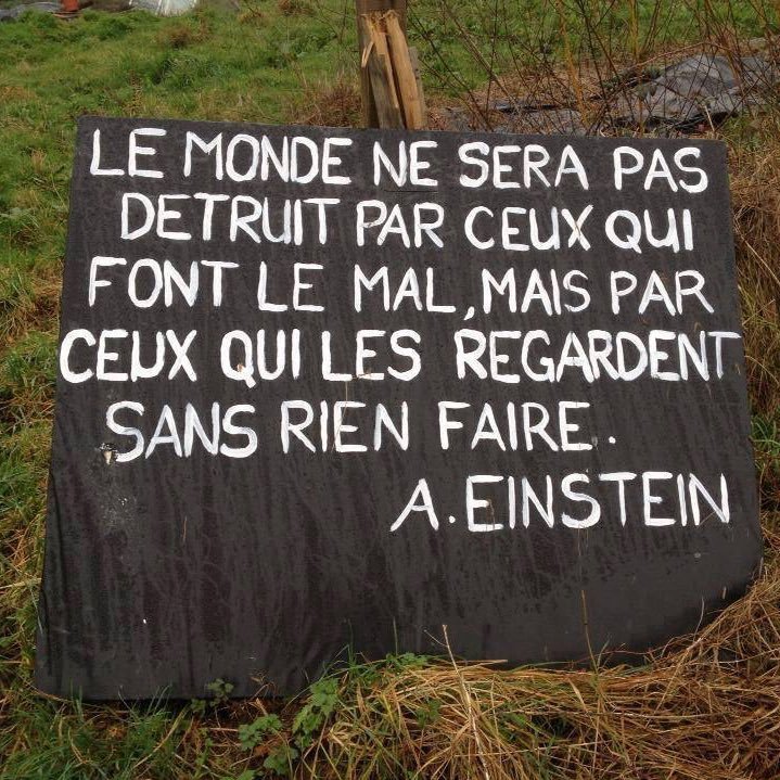 APOLITIQUE_FIER's tweet photo. Bonjour, bonne semaine 😘
En 2024, c'est encore plus d'actualité, combattons ceux qui veulent tuer la DÉMOCRATIE 👍🇫🇷✊✊
#UkraineWillWin
#israelWillWin
#HamasTerrorists
#PoutineTerrorist
#ExtremeDroiteAbjecte
#ExtremeGaucheDuChaos
#PatriotesEnCartonProRusse https://t.co/T89tyAGUpg