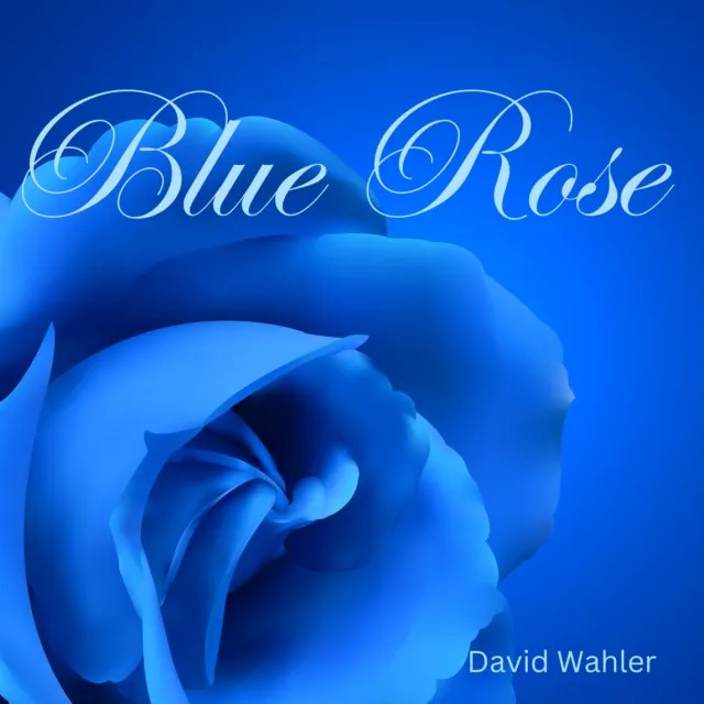 Roses are red, violets are. . .wait a moment. Is it possible that roses are blue? No, not in nature, as plants do not have a gene for a blue pigment. But, yes, in music. Blue Rose is the name of David Wahler's new album. Listen on namg.io #newagemusicguide