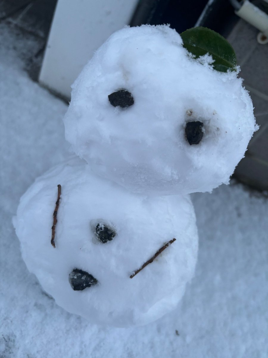 milcat_REALITY's tweet photo. 中学生だって雪で遊んではしゃぎたいんだーっっ
#milcat https://t.co/hXlGS4BYjh