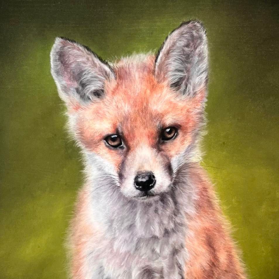 A lovely #throwback to this time last year when I was working on this adorable little fox cub. This piece was sent over the pond to the US to a collector of mine who had previously bought another fox from me. I absolutely adored painting this beautiful little face!

#wildlifeart