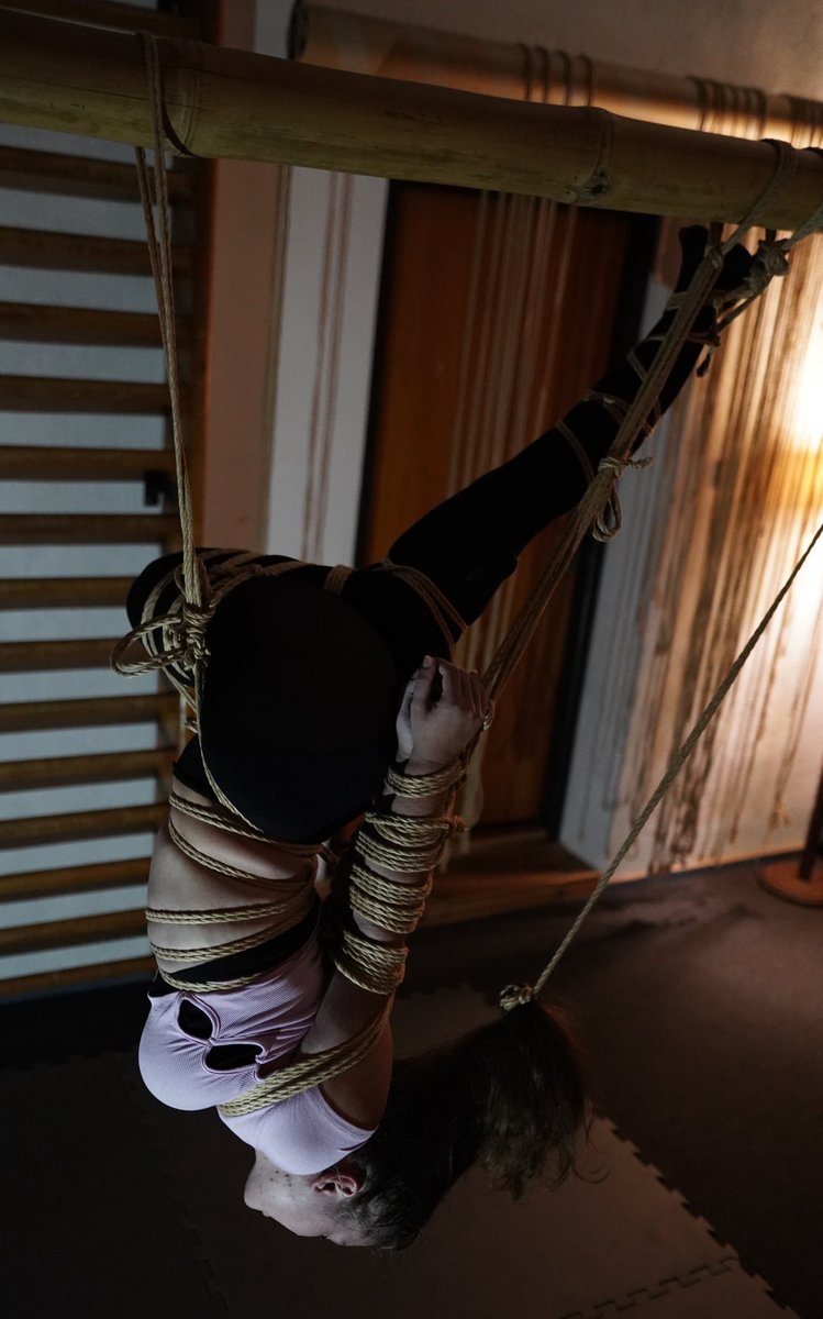 alexinropes's tweet photo. A memory from an intense session😌✨ #shibari #kinbaku #ropebunny #strappado https://t.co/Le0mUqPS9y