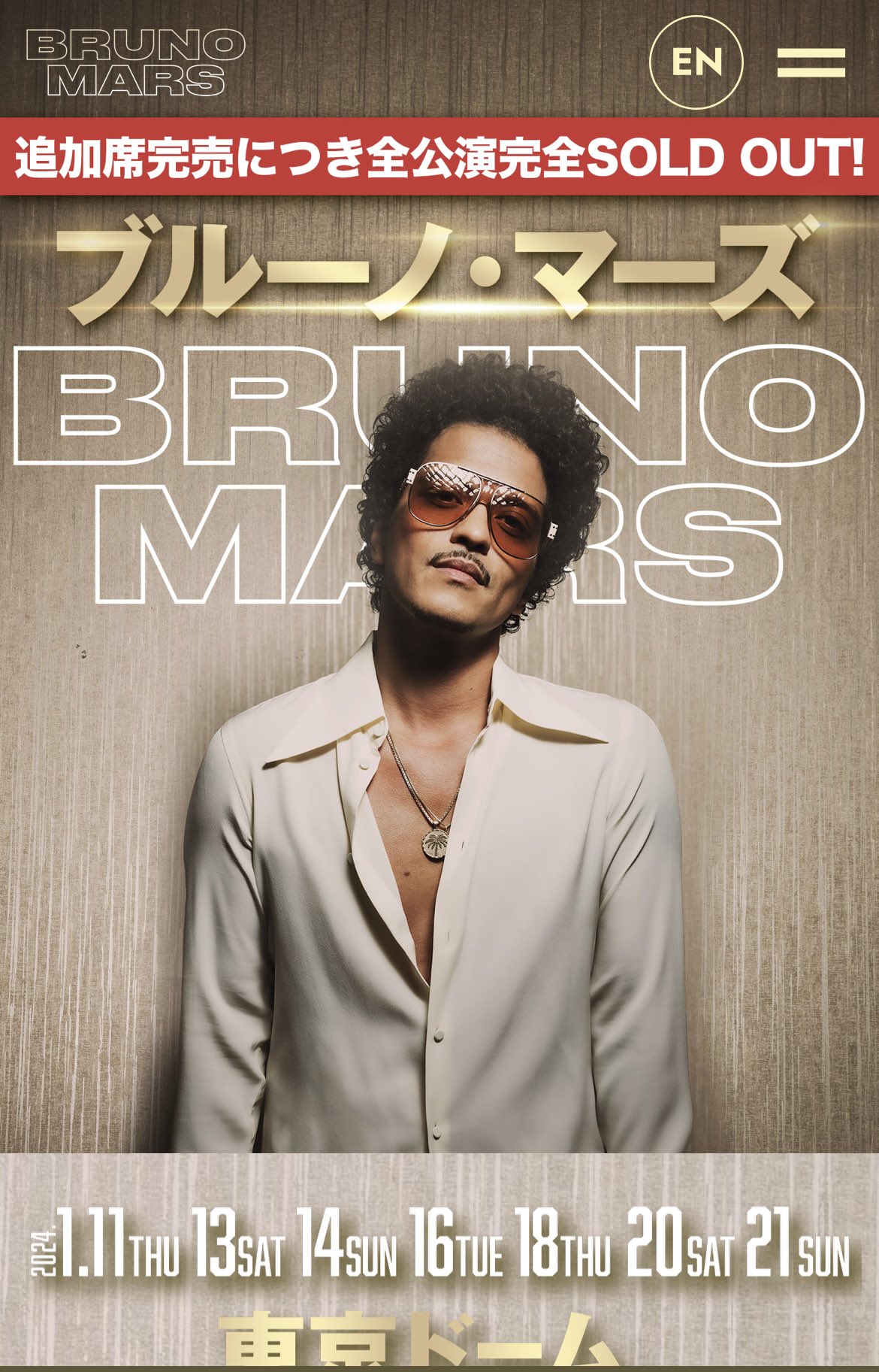 ブルーノマーズ10月23日SS席✖️2 ブルーノマーズ10月23日SS席✖️2