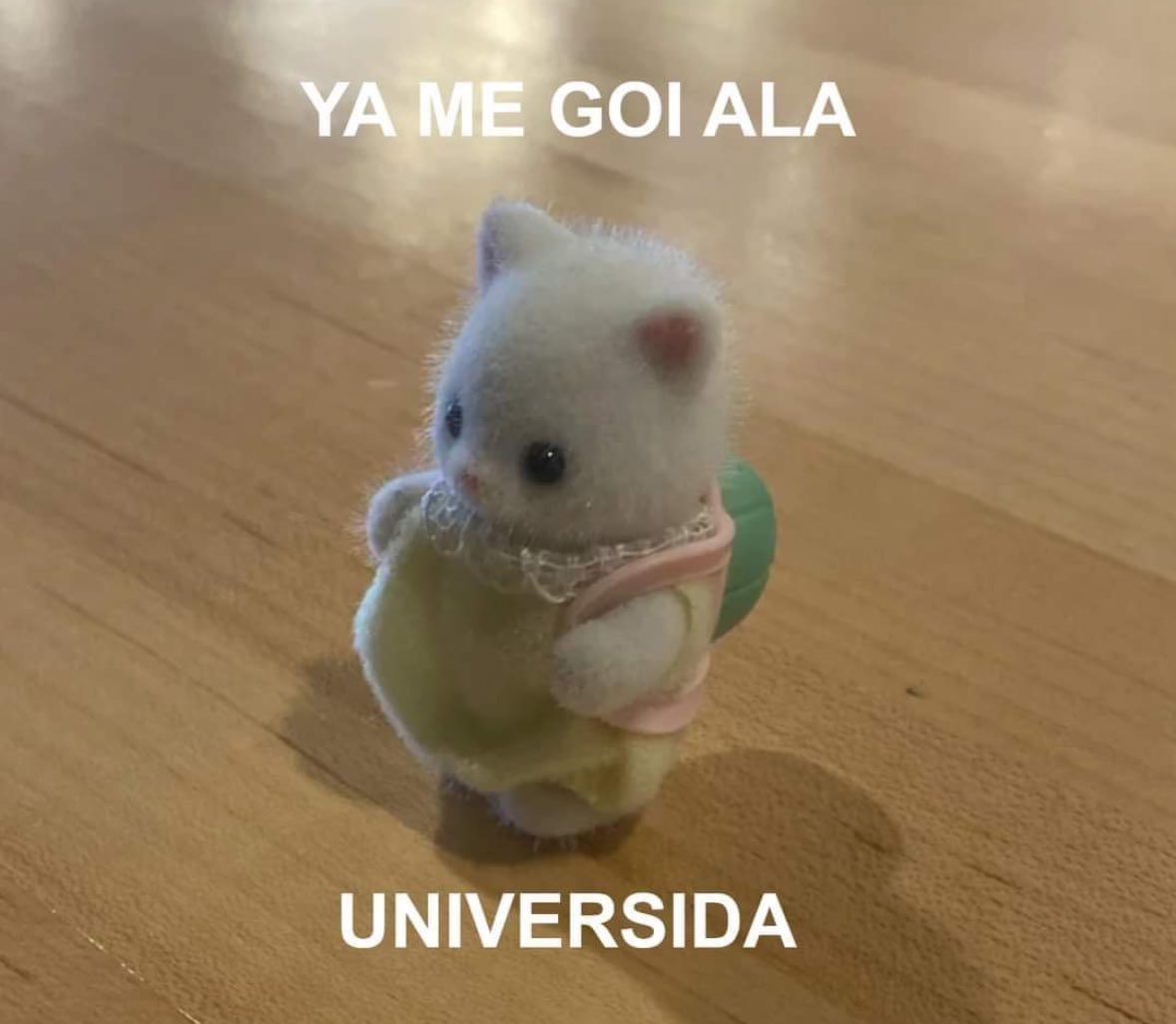 ✮ ☾⋆｡ 𖦹°✩uisi ⋆.༄ ❦ tweet media