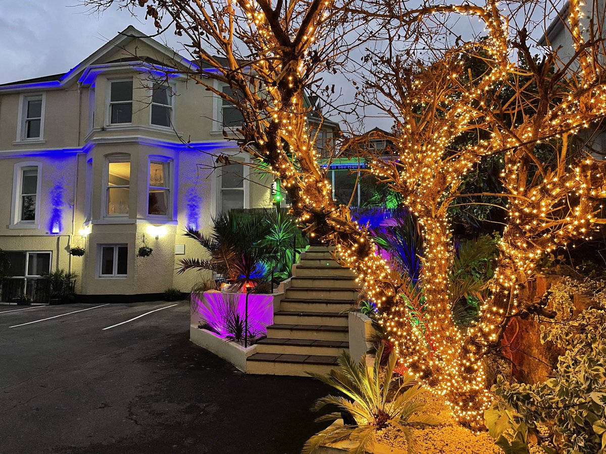 On this day two years ago we’d just added more lights to our front garden. Everyone knows where our B&B is because of the lights. Our neighbours have slowly been adding lights since, making Avenue Road even prettier on the way to Torre Abbey and the sea. #lights #prettylights