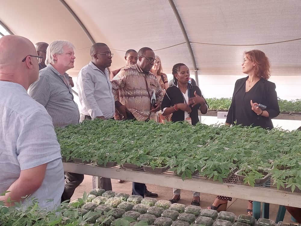 Dr. Ismahane Elouafi, CGIAR EMD visit to the SAH screenhouse! 🌱 We shared insights into BIP's pivotal role in translating innovations from IITA research and fostering dynamic collaborations with the private sector. #CGIAR #Innovation #BIP #IITAResearch