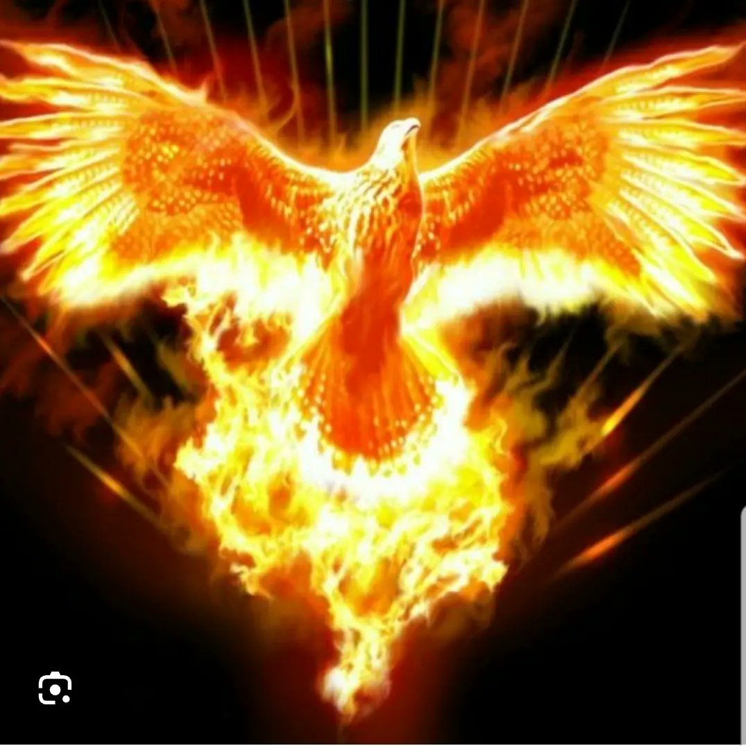 delroikonet's tweet photo. LET THE WONDERS BEGIN! What God cannot do does not exist hallelujah 🙏🏻 #NSPPD #7amfireprayers #letthefirefall https://t.co/NwvAWJZS5J