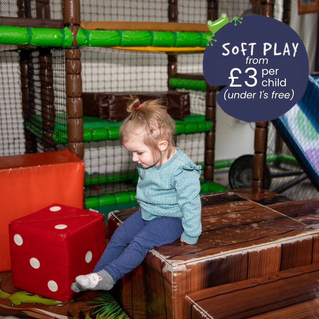 Little Green Frog tweet media