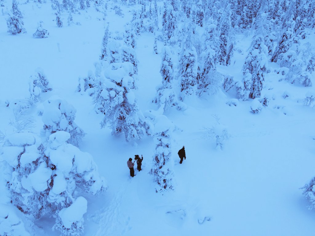 Blue moments in the wilderness. #Lapland #Posio #Finland