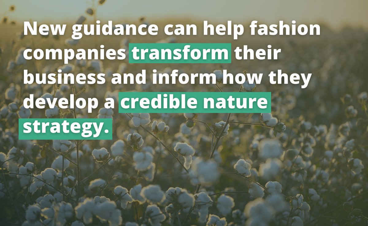 A new sector report on the fashion industry has been issued by @‌BfNCoalition @Accenture @wef @wbcsd on how  to transform business practices and value chains to halt and reverse nature loss by 2030. #NaturePositive #NowForNature 

Read more: ow.ly/Cktr50QqMtr