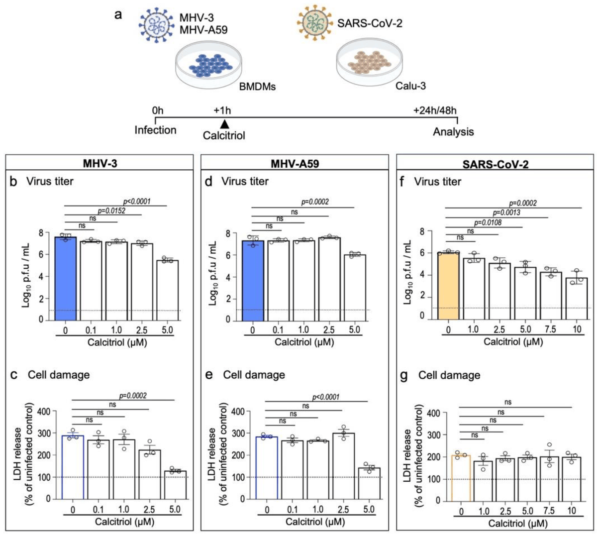 VirusesMDPI's tweet photo. Dietary vitamin D mitigates coronavirus-induced lung inflammation and damage in mice

👉https://t.co/8LyHyGmlt4

by Campolina-Silva et al. 
#betacoronavirus #Covid_19 #respiratoryinfection #Immunology https://t.co/MxzzUxrczf