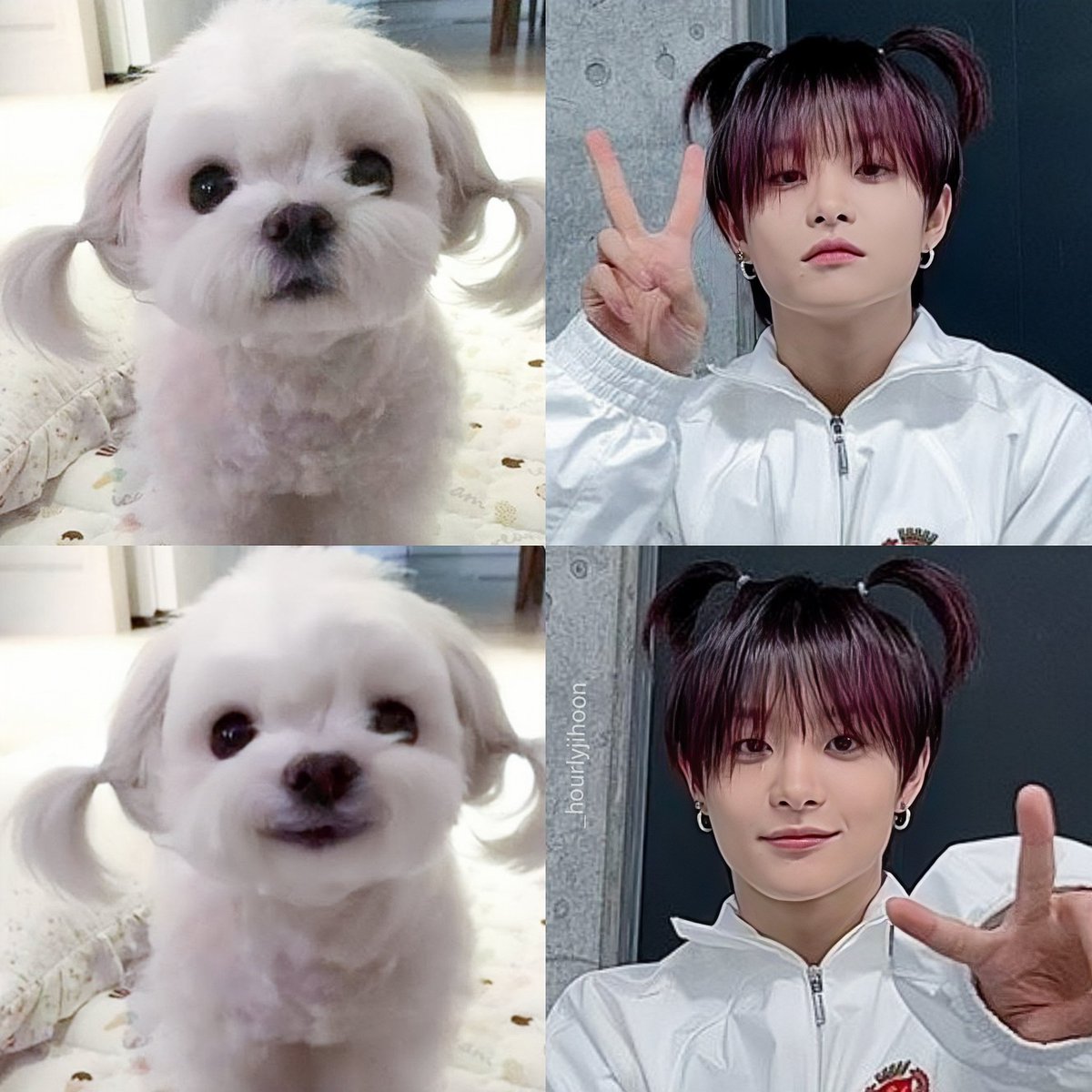 🐶🐾 #JIHOON #지훈 #ジフン #트레저지훈 #트레저