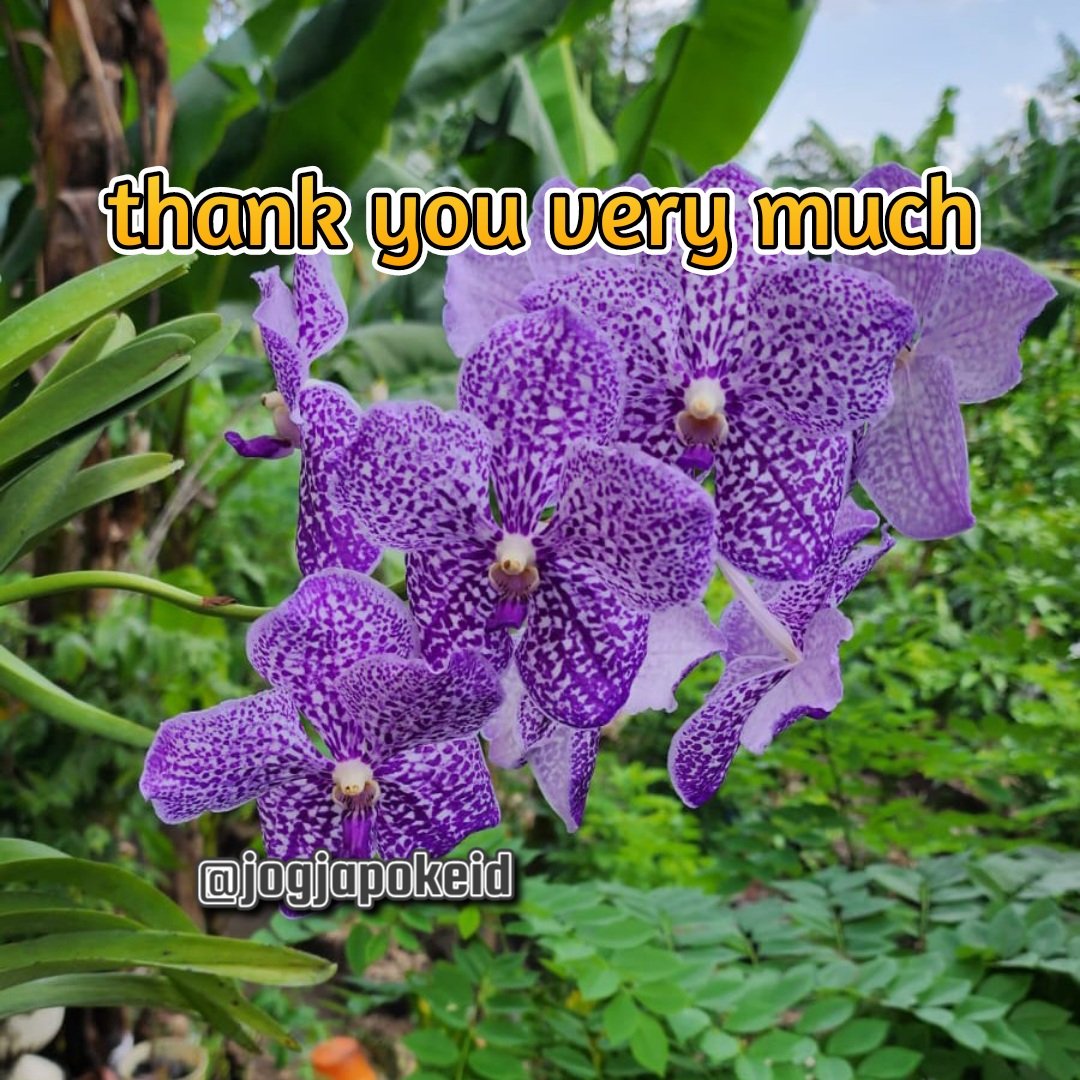 #TwFsClub
#F4F_Nusantara

thank you so much
⏩➽ <a href="/Nathyan1997/">Nathalia🚩🚩</a>

<a href="/guerreravefenix/">JusnickZ🪬🌎</a>
<a href="/jogjapokeid/">jogjapokeid</a>
<a href="/TwFsClub/">Founder of ☀️ #TwFsClub</a>
<a href="/TwFsClub_Kings/">#TwFsClub_Kings</a>
<a href="/Nafertiti6/">Nafertiti</a>
@nagabonar7145
<a href="/Naguzani/">Camilo Almario</a>
@Nahheed7788y
<a href="/NainggolanRaja6/">Nainggolan Raja</a>
<a href="/NajibIqbalHuss2/">Najib Iqbal Hussainنجيب اقبال حسين</a>
<a href="/NAliagu/">ñduka aliagu</a>
<a href="/voor21/">voor21</a>
<a href="/WALL127/">Rangel💃⚽🍺</a>
@Widya_Makmur11
<a href="/NamAnh6789hd/">Nam Trần</a>
<a href="/Namlg9/">Namkk</a>
<a href="/Nanenes3/">Nanenes</a>