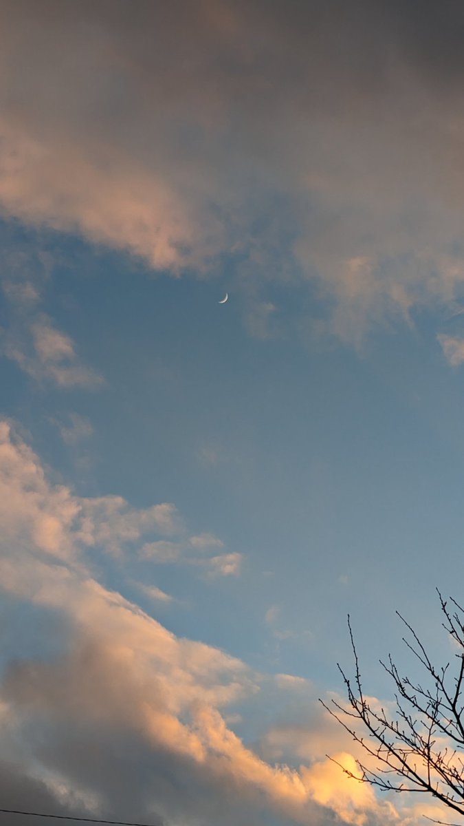 moumoon0306's tweet image. @ripu_artist さっそくマツ◯ヨでゲット😆✨🤘
#PROSTYLE  NUANCE MAKE OIL と  NUANCE MAKE OIL BARM ARRANGE です✨
ツヤ輝きとしっとり束感キープするぞ〜🪩✨
そして今日も月がきれいですね🌙
イベント楽しんでいこうね〜🫶ぽかころ〜💖