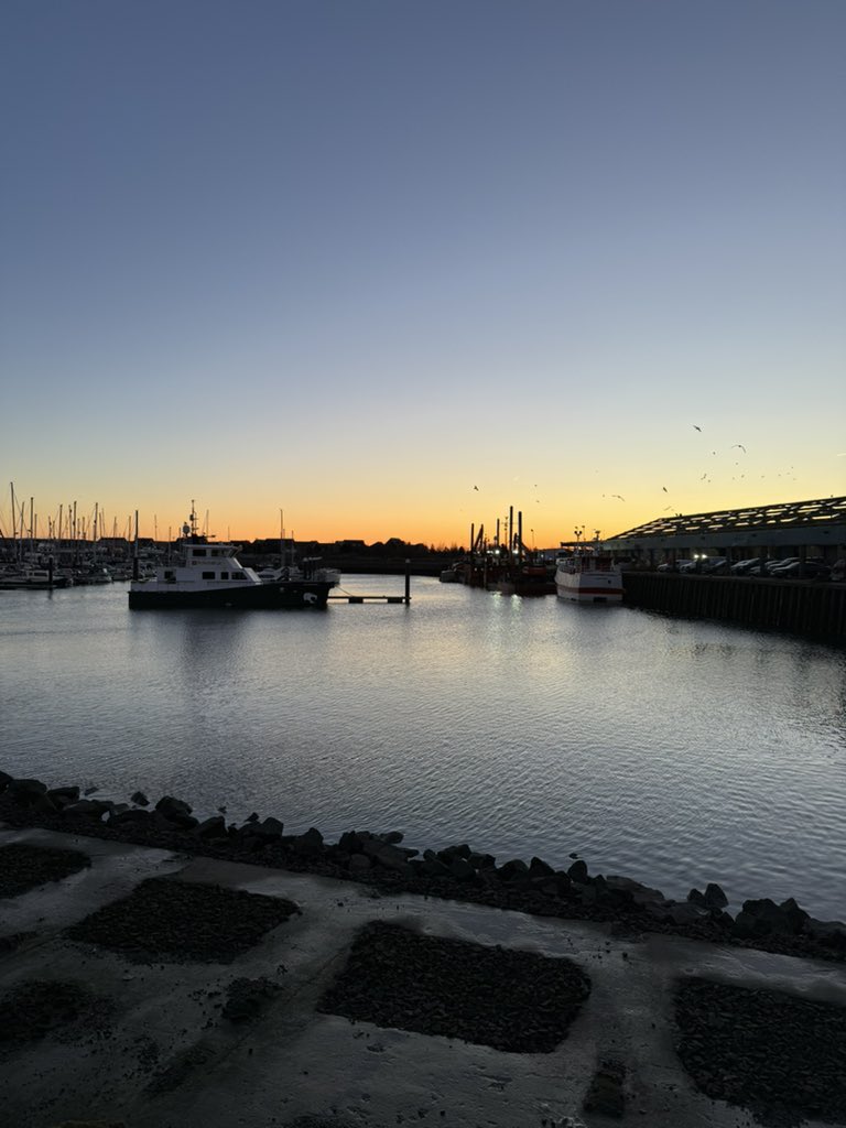 Cold just Zero but lovely and bright ready for the Fish Auction 🐟🐟