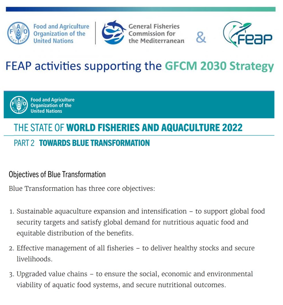 Within our <a href="/UN_FAO_GFCM/">General Fisheries Commission for the Mediterranean</a> <a href="/feapinfo/">FEAP</a> collaboration we promote <a href="/FAOfish/">Fisheries & Aquaculture</a> #BlueTransformation, a vision for #aquaculture to meet the challenges of sustainable food production. 
🎯That's where #GFCM2030 guidelines and 🐟farmers associations come into play!👇 feap.info/index.php/aqua…