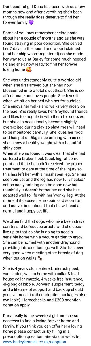 Barley Greyhound Sanctuary tweet media