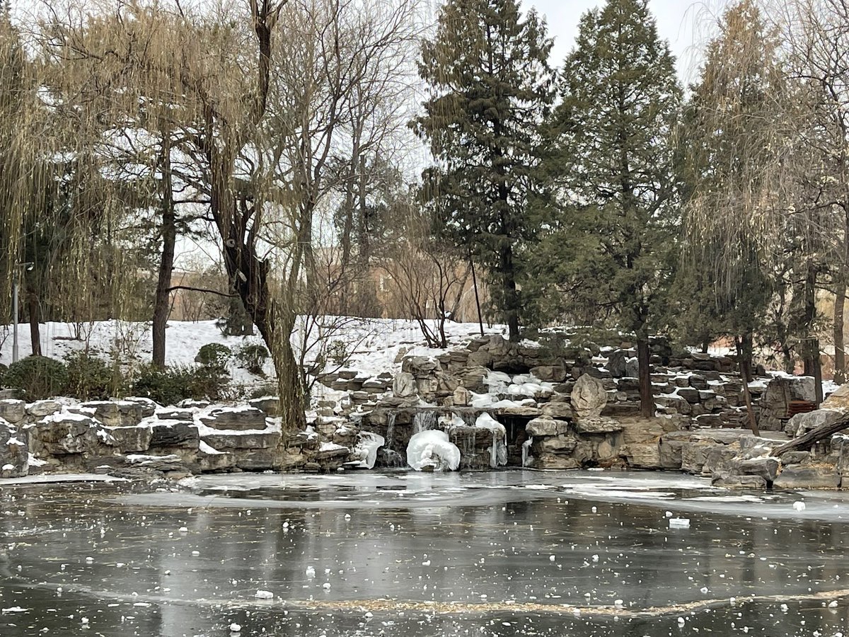 florence_jiang's tweet photo. #Tsinghua #University during #winter https://t.co/52rWTZTqmn