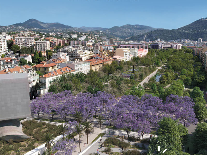 CCI Nice Côte d'Azur tweet media