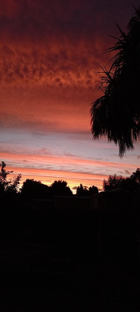 aokautere's tweet photo. This evening's #Sunset #weather #nature #summer #photography @ThePhotoHour https://t.co/5rNILAVFSB