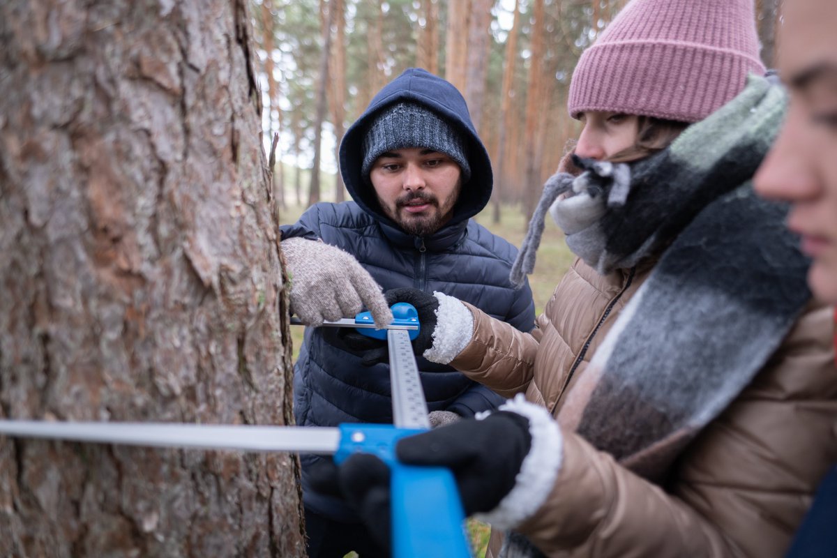 YoungForesters's tweet photo. @JavierGPGamarra @SoyForestal @ETSIIAAPalencia @UVa_es @UVaPalencia @fbravo_SFM @iruanopalencia @forestpatuva @modelforest @BosquesModelo @OrdonezAC @vrolmeda @turrion_maria @chdeaza Siiii, como todos los años con los #MEDfOR en la #WinterSchool https://t.co/3zZuBD5B9b