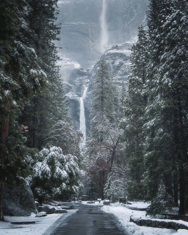 In the heart of winter, Yosemite unveils its timeless secrets: 'The world is full of magic things, patiently waiting for our senses to grow sharper.' - ❄️ #YosemiteMagic #WinterWhispers #NatureQuotes