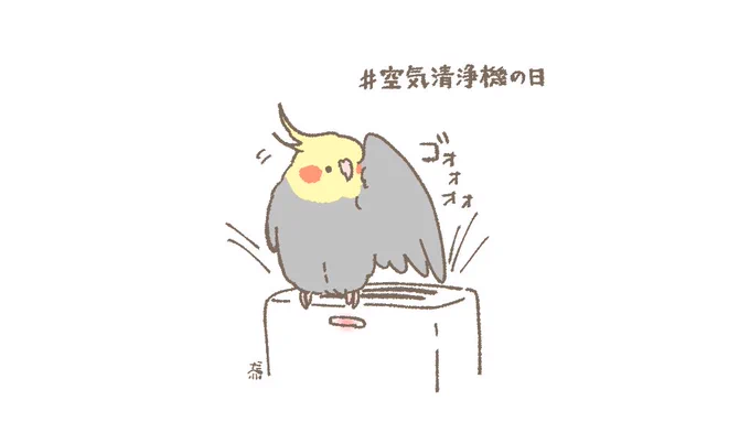 おはようございます☀️
今日は「い(1)い(1)く(9)うき【良い空気】」の語呂合わせにちなんで #空気清浄機の日 だそうです💨
#オカメインコ

#カラオケの日 でもあるそうですよ🙌
https://t.co/1w95uRmwTu 