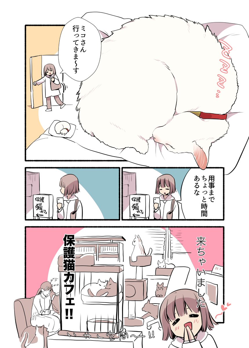 🐈👤飼い猫がいるのに"浮気"しちゃった話😨😨(1/2)  #漫画が読めるハッシュタグ #愛されたがりの白猫ミコさん