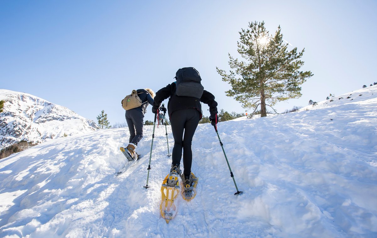 Altibus's tweet image. Destination #Pyrénées pendant les vacances❄️⛷🩵

✈️ Navettes au départ de @AeroportPau vers les stations de @stationGourette @la_psm @StationArtouste &amp;amp; Somport.
📆 Circule les samedis pendant les vacances scolaires de la zone C.

📸 © Somport - @la_psm - @stationGourette