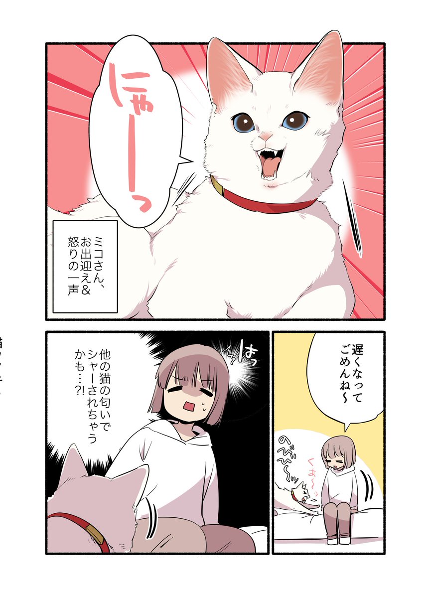 🐈👤飼い猫がいるのに"浮気"しちゃった話😨😨(2/2) #漫画が読めるハッシュタグ #愛されたがりの白猫ミコさん コミックス発売中です👇 