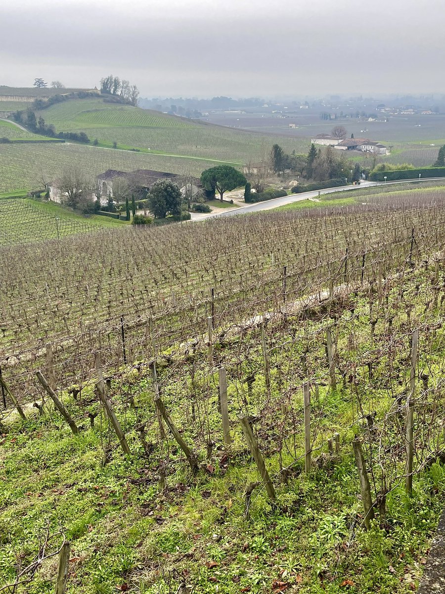 A misty ol’ morning in St Emilion. First appointment; Château Ausone. #bdx21 #bdx2021 #stemilion #bordeaux #wine #ausone #chateauausone