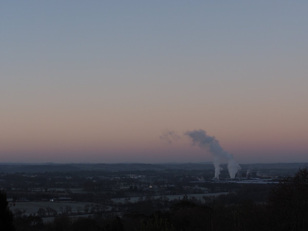 Bill Linnane tweet media