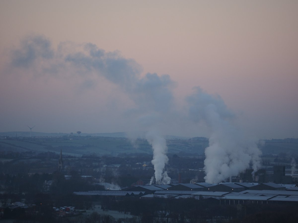 Bill Linnane tweet media