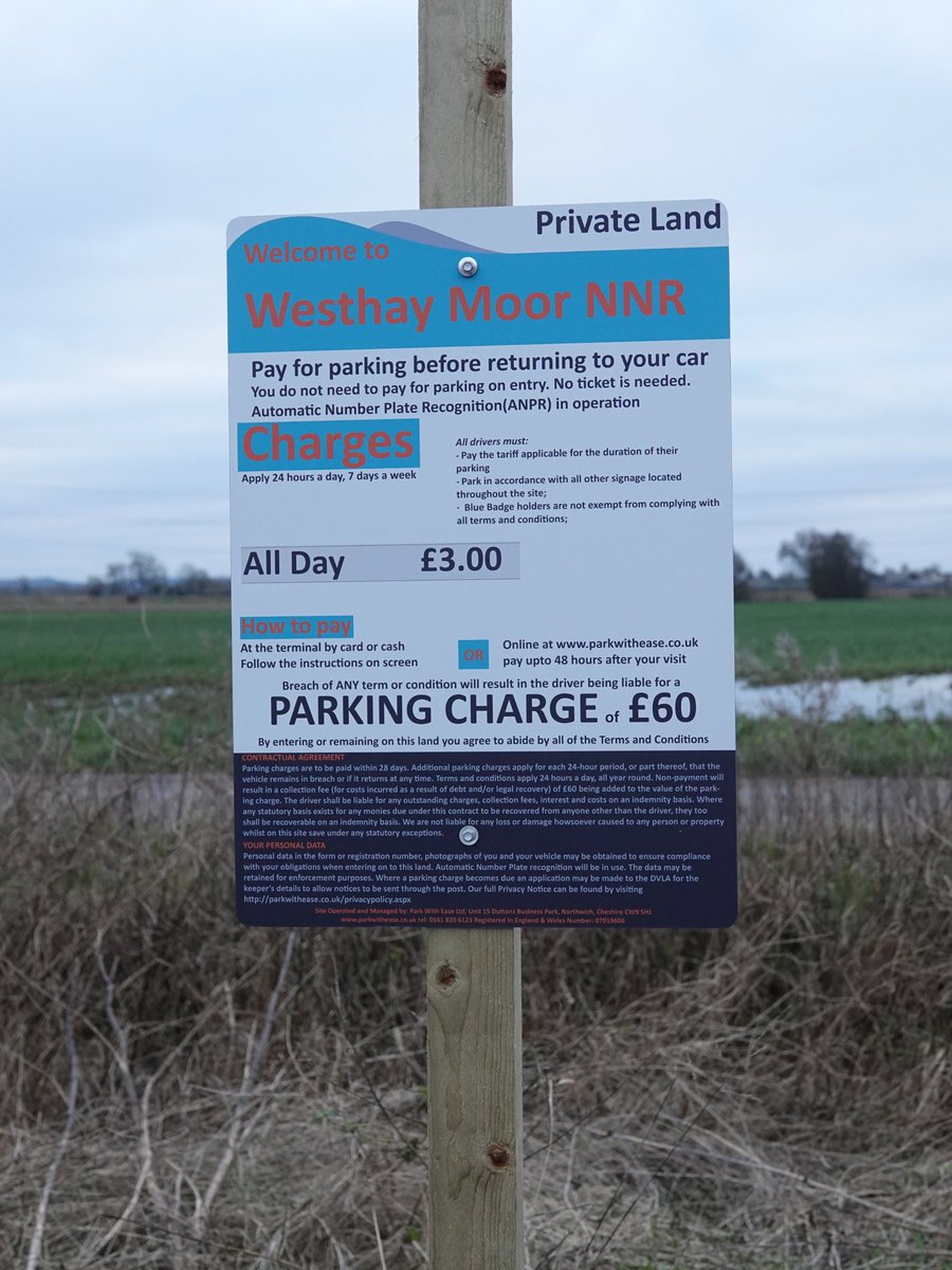 alan ashman tweet media