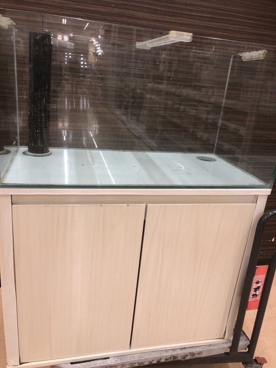 apnakano's tweet photo. #90cm オーバーフロー水槽
販売とレンタルになります。
ご興味があるかたはご連絡ください！
#オーバーフロー水槽
#中古水槽
#買取
#引き取り
#レンタル水槽 https://t.co/lzkLkHNwQ8