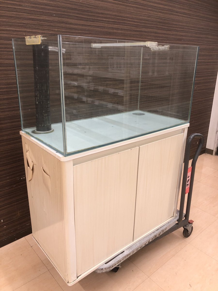 apnakano's tweet photo. #90cm オーバーフロー水槽
販売とレンタルになります。
ご興味があるかたはご連絡ください！
#オーバーフロー水槽
#中古水槽
#買取
#引き取り
#レンタル水槽 https://t.co/lzkLkHNwQ8