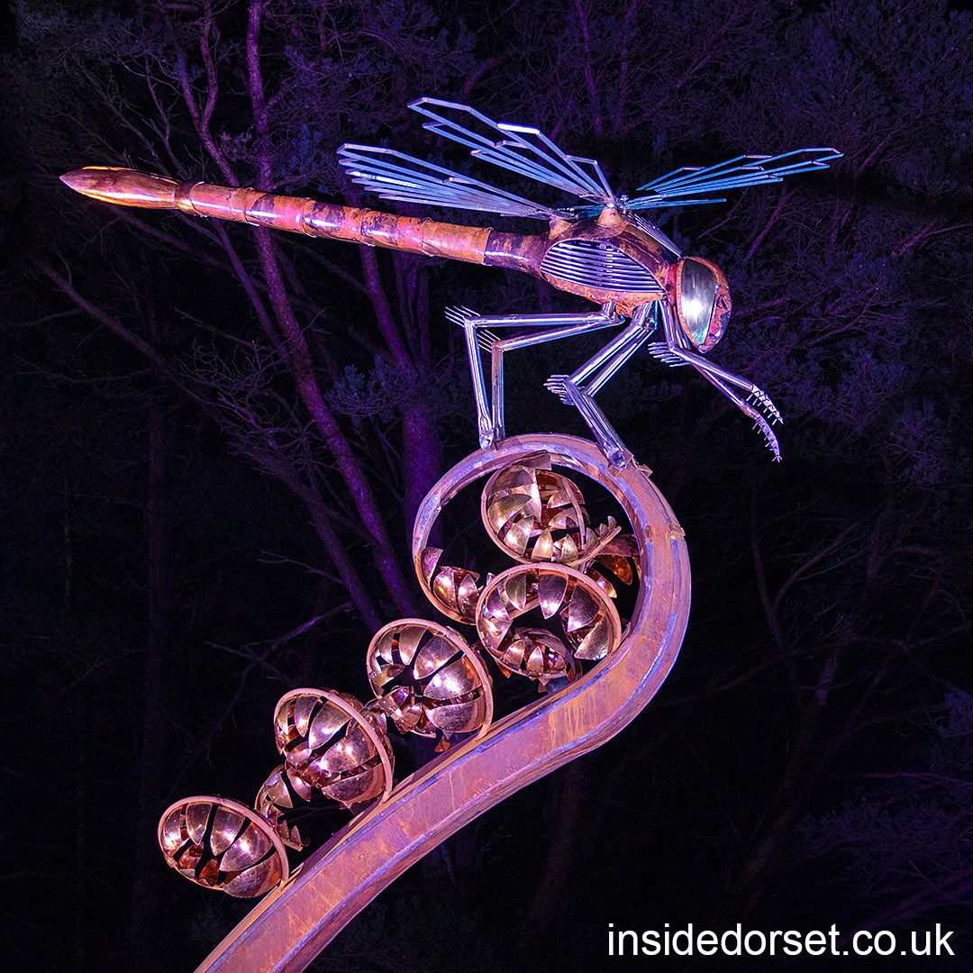 InsideDorset's tweet photo. Illuminate at The Blue Pool - Over 1km of illuminations through woodland around the pool.
On until 25 February.
https://t.co/fkT5KsWo15
#TheBluePool #Dorset #illuminations https://t.co/HHxFY2uOkT