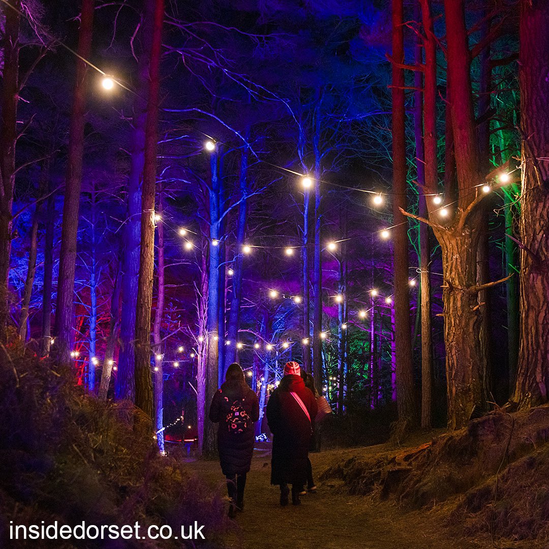 InsideDorset's tweet photo. Illuminate at The Blue Pool - Over 1km of illuminations through woodland around the pool.
On until 25 February.
https://t.co/fkT5KsWo15
#TheBluePool #Dorset #illuminations https://t.co/HHxFY2uOkT