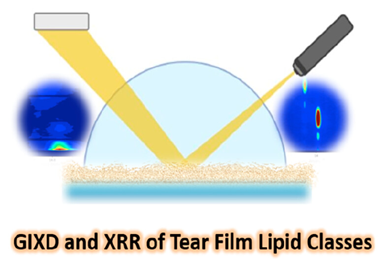 SIRIUS_Beamline's tweet photo. New paper: "New Insights into the Molecular Structure of Tear Film Lipids Revealed by Surface X-ray Scattering" by Trevorah et al. https://t.co/o5hsW7aFfz
#GIXD #LangmuirFilms (also with GIXD/XRR on ID10 ESRF @MaciejDiff)
@JPhysChem https://t.co/YDnujPXfr5