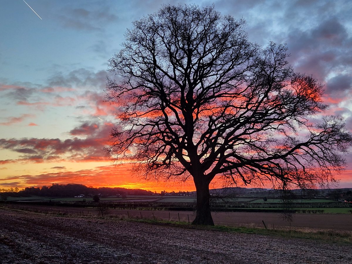 willynic's tweet image. What is this witchcraft? You sure it's not supposed to be raining, snowing or blowing a gale?! #sunrise