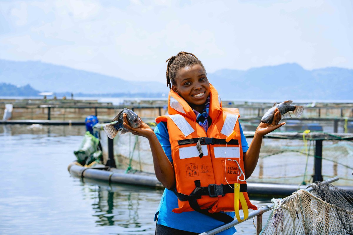 🐟Interested in Fish Farming?
Like, Repost, and Follow @KivuChoice!

Explore the entire journey of fish farming with us from hatchery to selling branches. Stay tuned for insights into the fascinating world of aquaculture!
#KivuChoice #FreshRwandanTilapia #FishFarming #Aquaculture