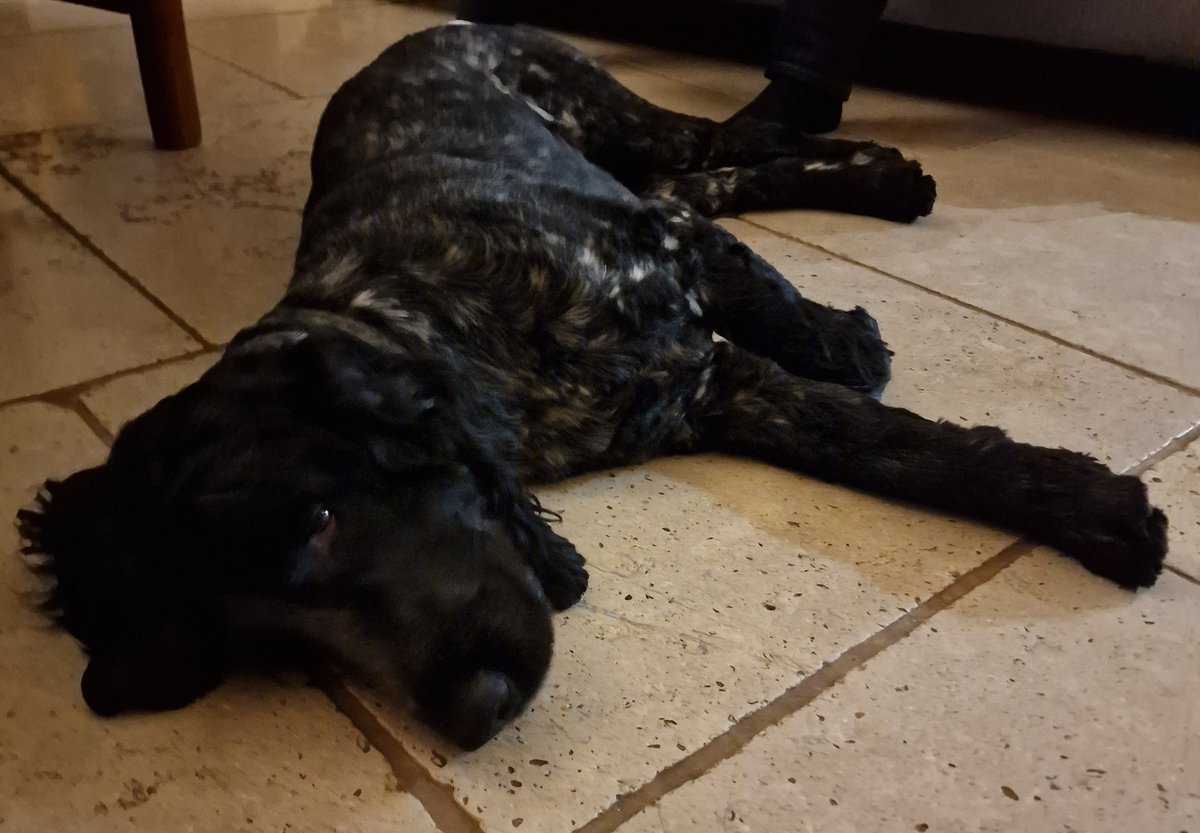 He looks how I feel 👇

Experiencing some serious Monday blues today 😖