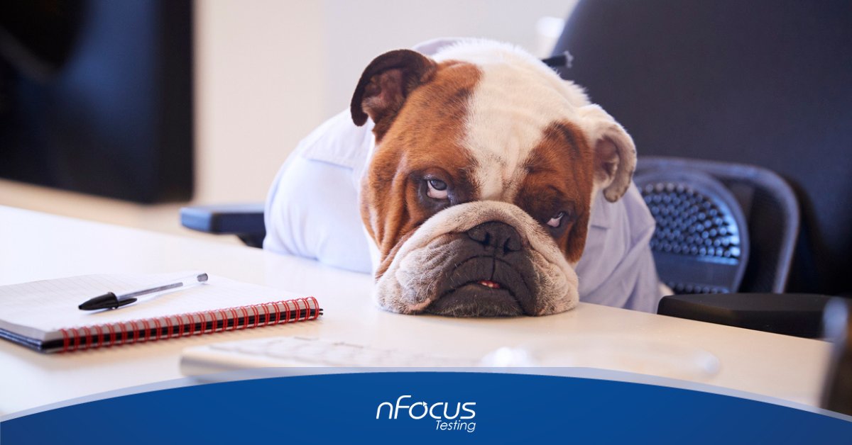 nFocus Testing tweet media