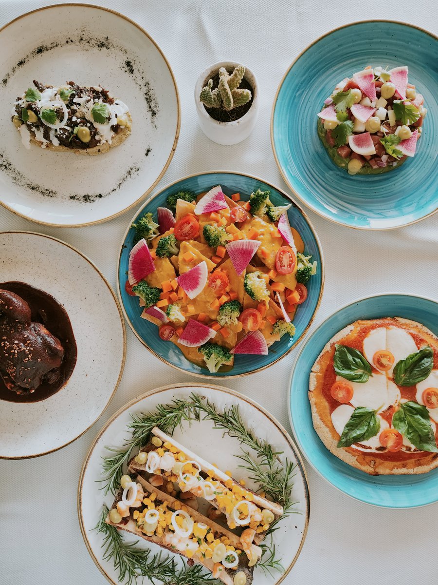 Indulge in rich, authentic flavors at #ZoëtryCasadelMar. From locally sourced Mexican fare to impeccable seafood dishes, each moment is crafted with the highest level of service. spr.ly/6019RUmPH