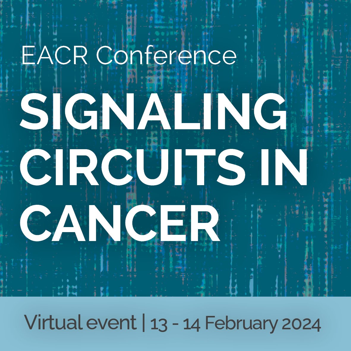 EACRnews's tweet photo. There are just two weeks left to register for our upcoming virtual conference, Signaling Circuits in Cancer!

Join us if if you are interested in the role of signalling mechanisms in cancer development, progression, and therapy resistance.

➡️ https://t.co/xxH0iYFsIW https://t.co/7aHE03hTyp