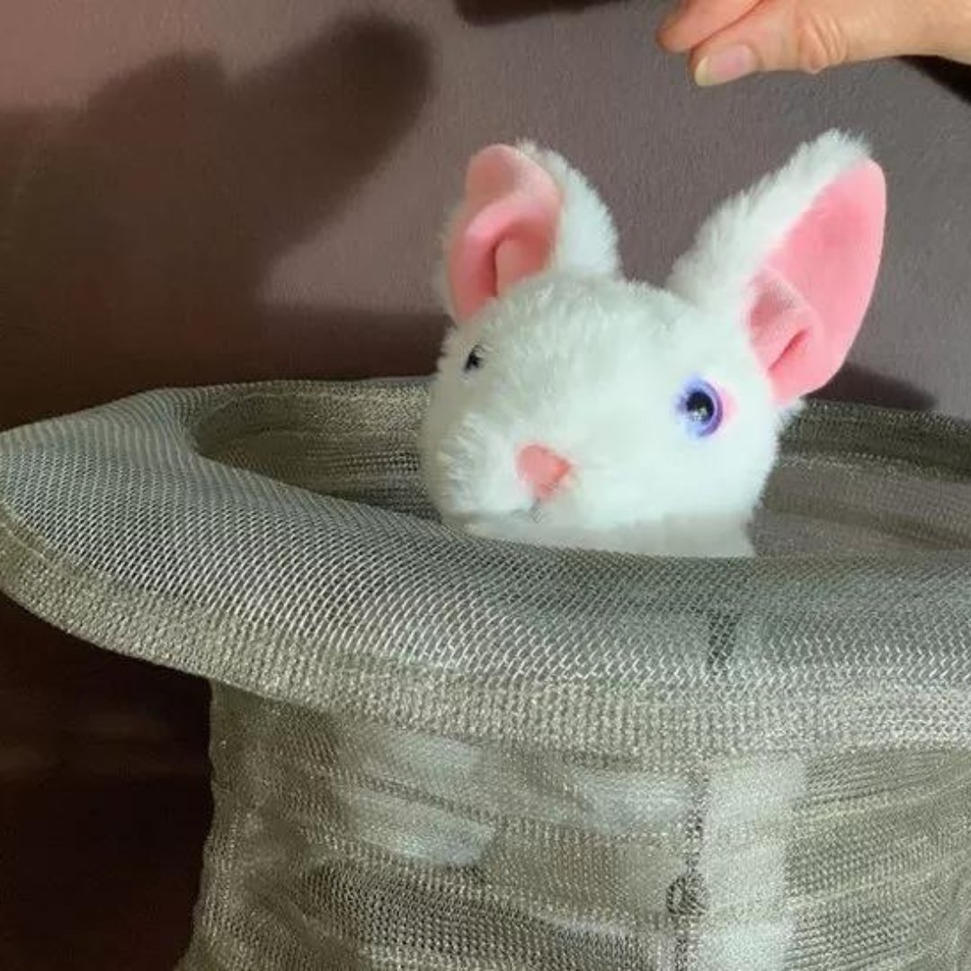 🎩 Dive into Hat Antics by Felicity Shillingford, inspired by Wardown House Museum and The Hat Works, Stockport

Join us on closing weekend on Jan 19-20 in Luton, engage with the artist and witness her latest hat creation. More info at culturetrust.com/whats-on/hat-a… #ArtExhibition