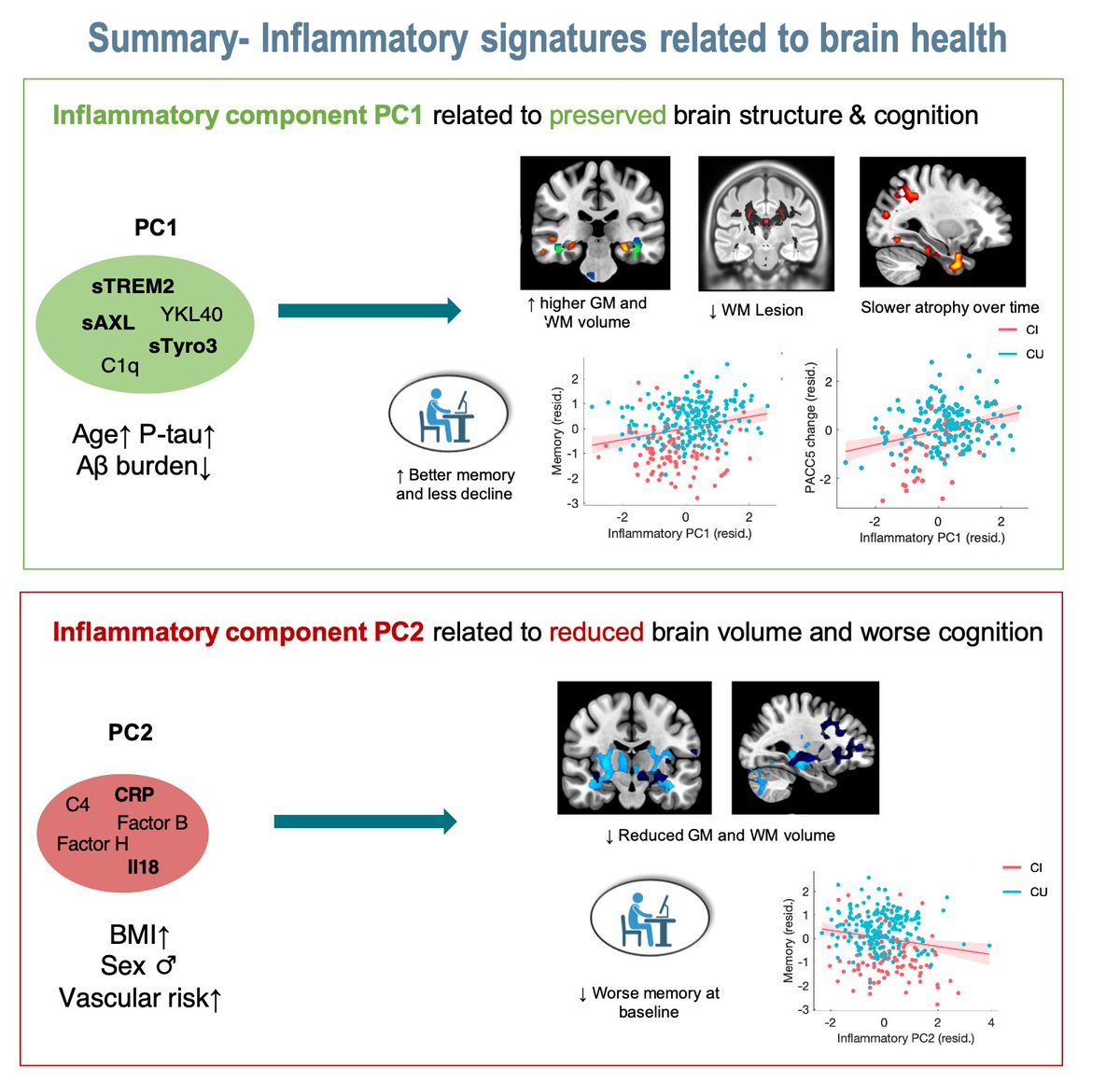 Very happy that this is finally out! We found different  inflammatory signatures in CSF in aging/AD, one potentially protective and one rather detrimental with respect to 🧠integrity/atrophy and cognitive decline. nature.com/articles/s4138…