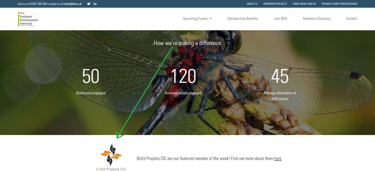 Congratulations to TBEN member of the week BizEd Projects <a href="/VickiAyton/">BizEd Projects CIC</a> 

BizEd Projects is a community interest company trying to simplify and bring together information and support for smaller organisations that relates to employment and skills.
Read more: tben.uk/members/3276/